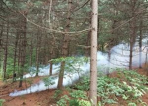 양주시, 산림병해충방제 총력… 선제적 방제 실시