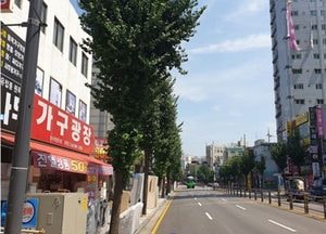 광명시, 광명사거리~광명 6동 삼거리 전신주 지중화 2차 사업 착공
