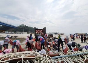 옹진군, 영흥 넛출항·진두항 대청소 운동 나서