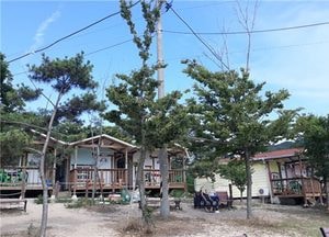 인천시 특사경, 피서지 불법업소 29곳 적발