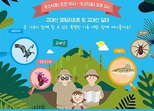 ‘평화와 생명의 DMZ’ 오감으로 체험하자…道, DMZ 청소년탐험대 개최