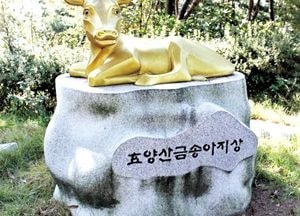 “역사와 전설 만나는, 이천 효양산 산행 떠나요”