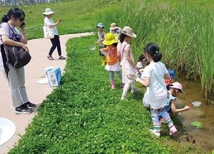 고양시, 근린공원 생태체험 프로그램 운영