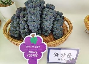 포천시 포도, 경기도 포도품평회 최우수상·특별상 수상