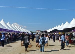 화성송산 포도축제 31일 개막