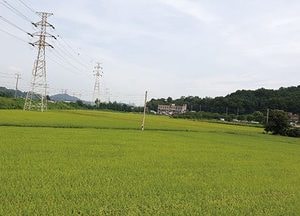 파주시, 30일까지 ‘농지이용실태 조사’