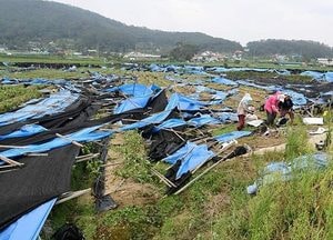 안상수 의원, 강화·옹진군 특별재난지역선포 요청
