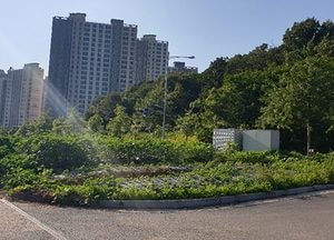 김포시 마산동 공유재산에 "지방재정의 숲" 조성