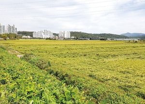 파주시, 내달 11일까지 귀농 농업 창업·주택 구입 지원 대상자 모집