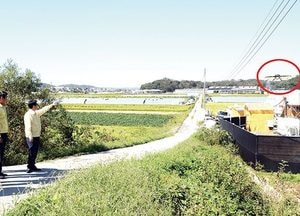 파주 지역농협, 아프리카 돼지열병 방역 ‘동참’