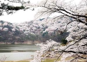 새로운 ‘용인 8경’ 선정… 내달 1~14일 전국민 대상 사진공모전