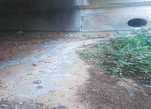 폐시멘트 오염수 무단 방류… 환경법규 위반업체 84개소 적발