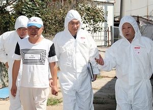 옹진군, 아프리카돼지열병 차단 온 힘 기울여