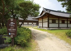 소리 없이 다가온 가을…경기도에 머물다