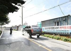 모든 돼지 살처분 완료한 김포시…방역에 총력