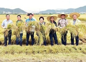 윤화섭 안산시장, 벼 베기 시연회 참석