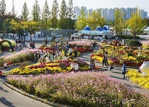 ‘고양가을꽃축제’ 폐막 12만명 다녀가