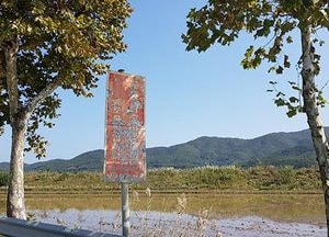 훼손된 교통표지판 알아볼 수 없어 무용지물