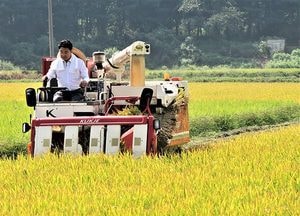 이천쌀·이천인삼 직거래 장터 열린다