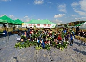 성남시, 4~7일 ‘무 수확 체험 행사’ 열어