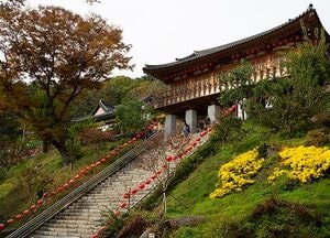 가을로 떠나는 경기도  로맨틱 로드 투어…경기관광공사 추천 여행지