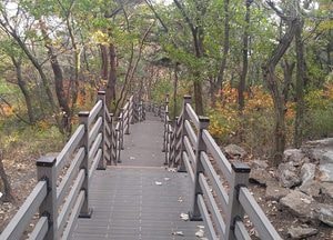 광주시, ‘태화산 숲길 정비 사업’ 완료