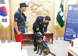3년 간 머리카락 냄새로 사람 찾는 훈련...민간 셰퍼드, 사체 탐지견 ‘맹활약’