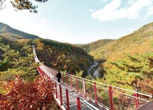 파주시, ‘감악산 출렁다리’ 방문객 증가…200만 돌파 눈앞