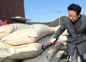 옹진군, 공공비축미곡 5642톤 매입 진행