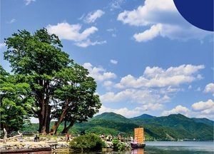 73억 발행 지역화폐 양평통보, 인센티브 종료 눈앞