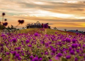 가을 양주나리농원의 아름다운 추억 ‘선물’