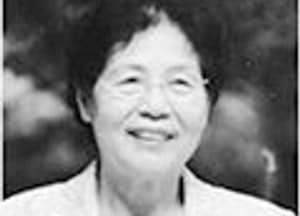 꿀벌의 겨울나기