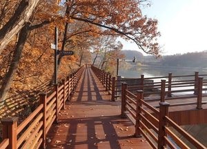 수원 광교호수공원 신대호수 수변 산책로 둘레길 4.4km 완성