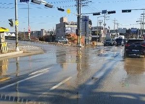 화성 수직리 일대 허가 없이 농지매립… '무법천지 방불'