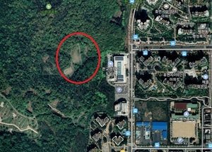 성남시 낙생대공원 내 1만5641㎡ 생물서식처 복원 완료