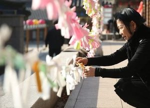 “소원지에 새해 소망  담았어요”
