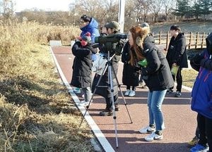 오산시, 2020 오산천 철새탐조 행사 개최