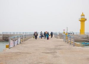 추울수록 재밌다! 신나는 겨울 레포츠 명소로 출발!!