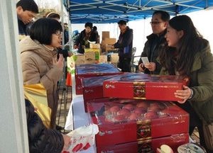성남시청에 농‧특산물 직거래 장터 선다 ‘10~30% 저렴’
