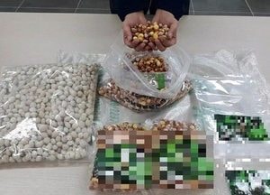 경기도특사경, 설 성수식품 판매 불법행위 89개소 적발