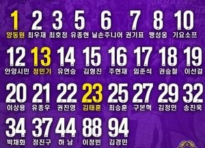 K리그2 FC안양 선수단 등번호 확정…맹성웅 8번