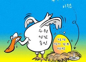 황금노선 품자니…