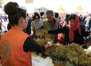‘파주개성인삼축제’ 경기관광 특성화축제에 선정