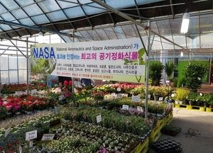 성남시, 화훼농가 살리기 직거래 장터 5월 17일까지