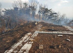 양평 추읍산 화재, 임야 400㎡ 소실