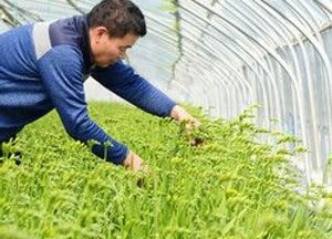 “코로나19로 느끼지 못하는 봄, 꽃으로 힐링하세요”