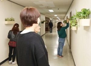 안양시청사에 공기정화식물 배치… 피로누적 공무원들 심리적 안정화