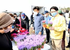 파주시, ‘화훼농가 돕기’ 팔걷어