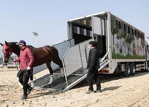 퍼스트클래스보다 비싼…억소리 나는 ‘馬클래스’ 항공권
