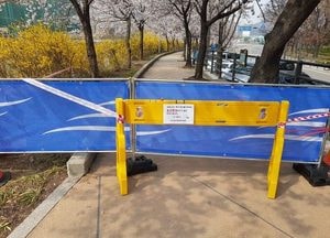“안양충훈벚꽃길 아쉽지만 내년에 봐요”